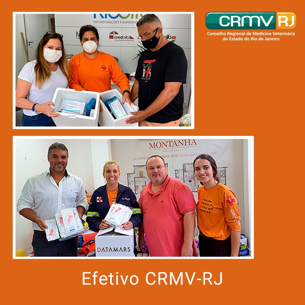 efetivo CRMV-RJ: doações em petrópolis