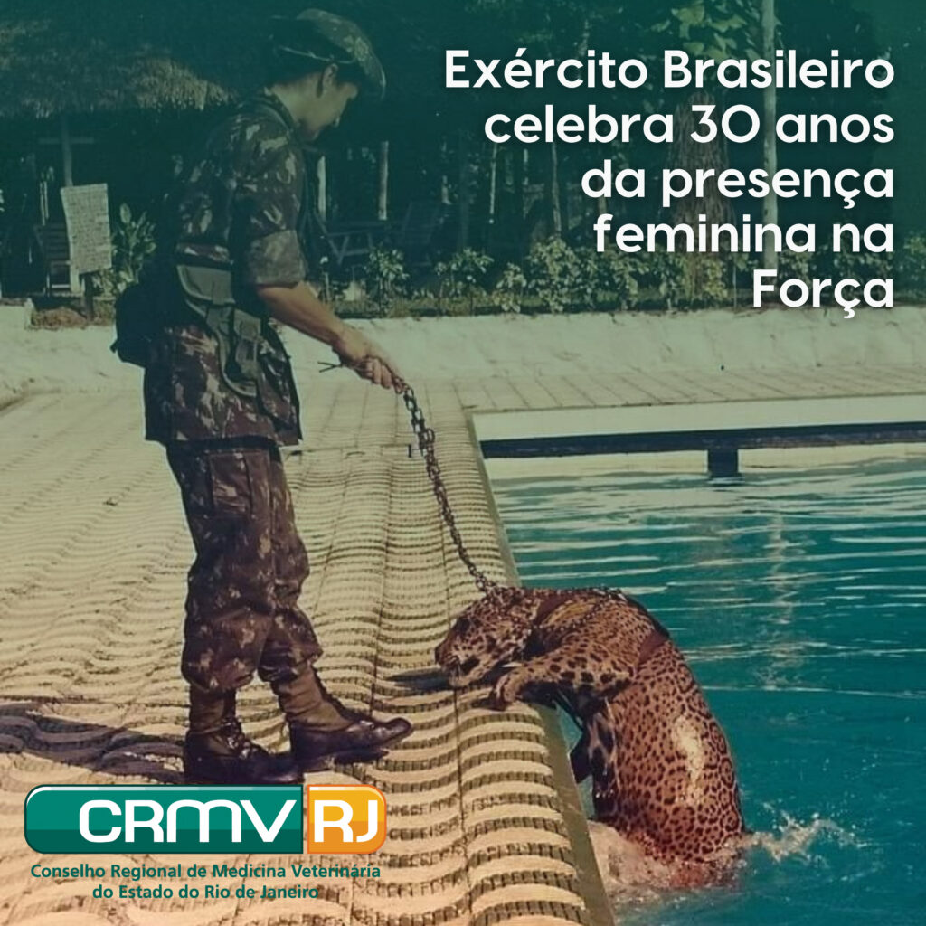 Exército Brasileiro celebra 30 anos da presença feminina na Força