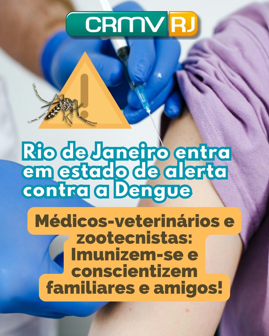Rio de Janeiro entra em estado de alerta contra a Dengue – CRMV-RJ