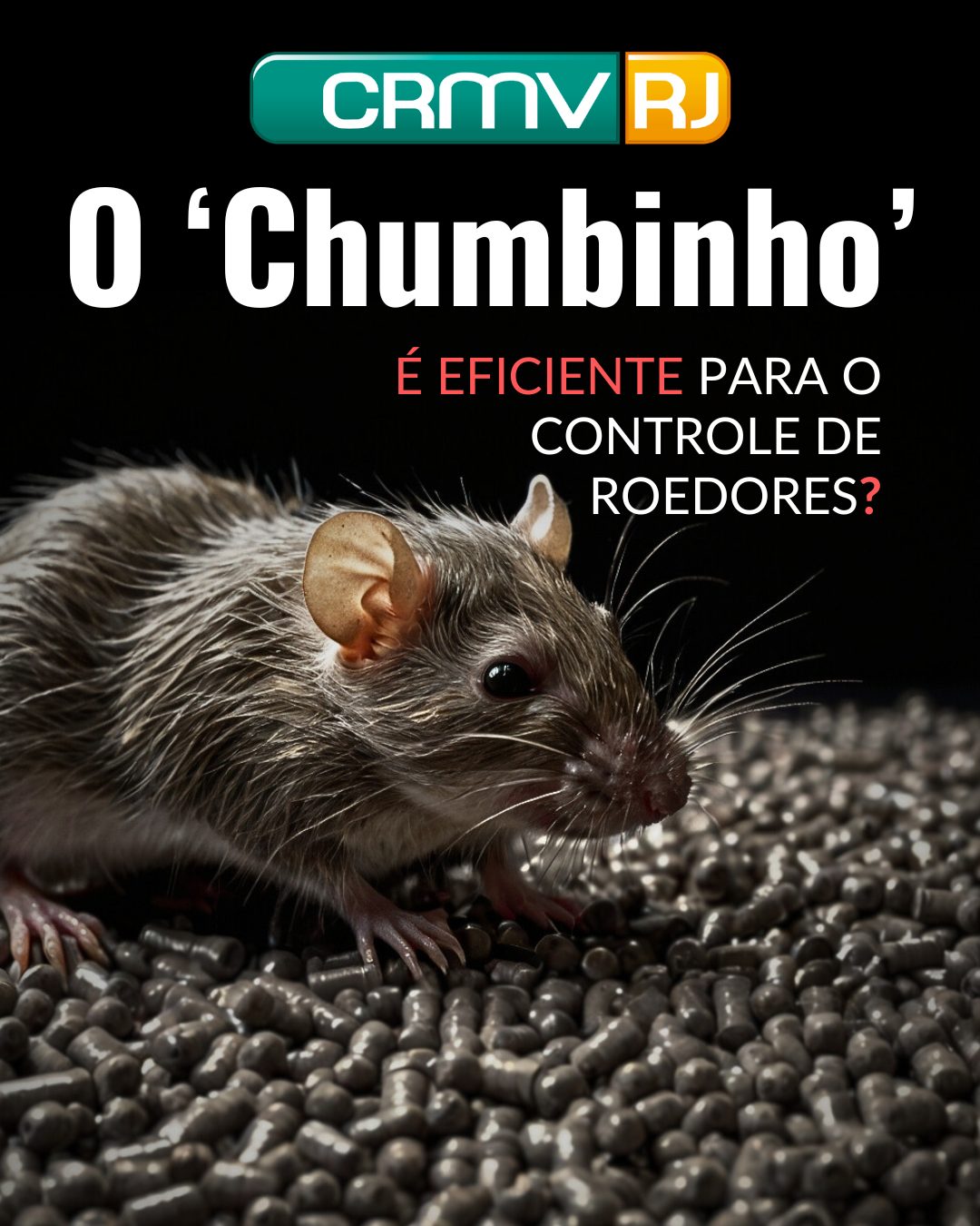 O ‘chumbinho’ é eficiente para o controle de roedores? – CRMV-RJ