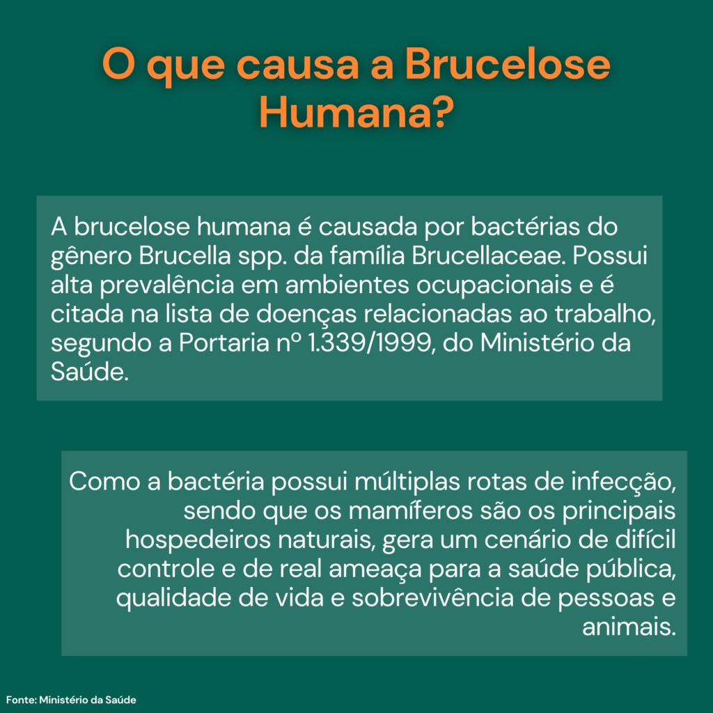 Brucelose