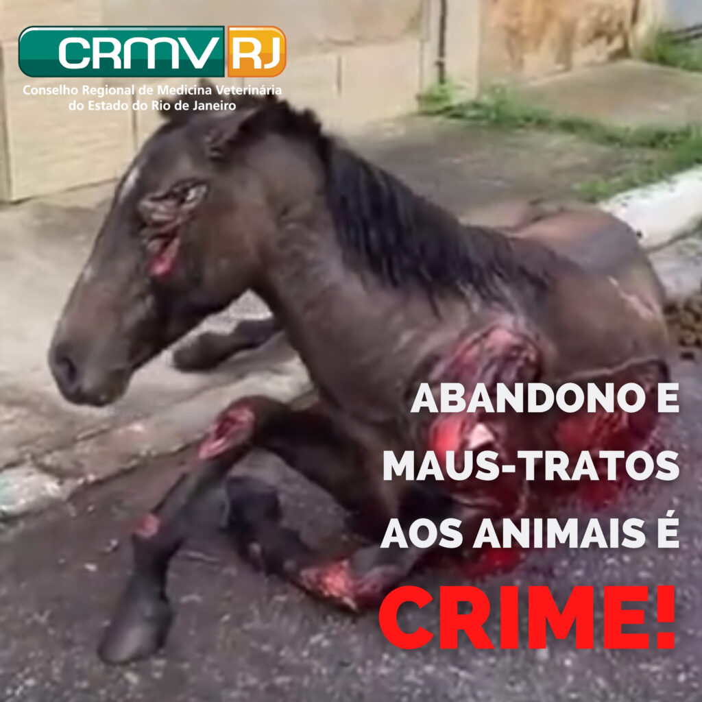 Abandono e maus-tratos aos animais é crime – CRMV-RJ