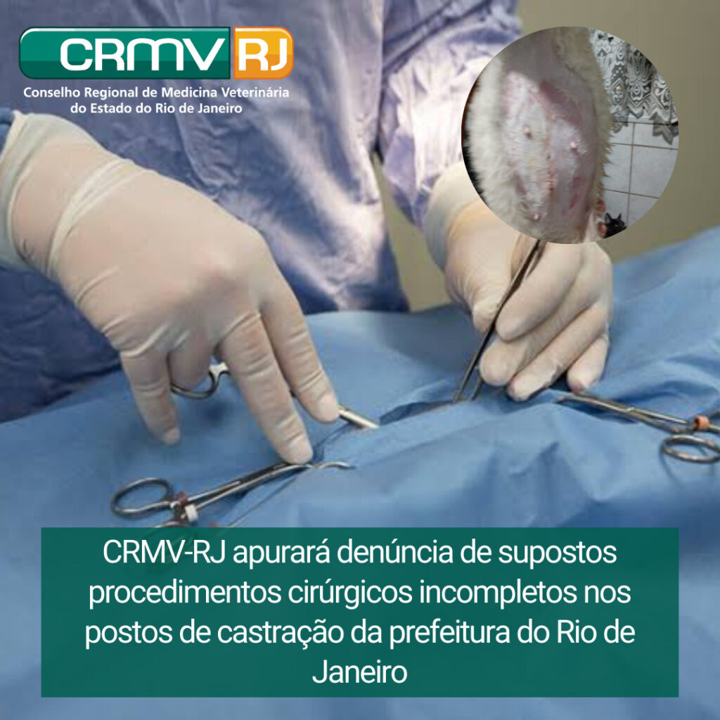 procedimentos cirúrgicos incompletos nos postos de castração da prefeitura do Rio de Janeiro