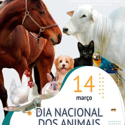 Dia Nacional dos Animais: Saiba como denúncias maus-tratos aos animais