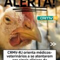 influenza aviária