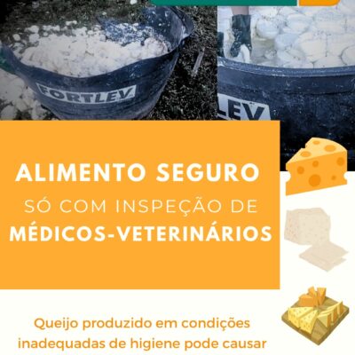 Alimento seguro, só com inspeção de médicos-veterinários: Queijo produzido em condições inadequadas de higiene pode causar doenças aos consumidores