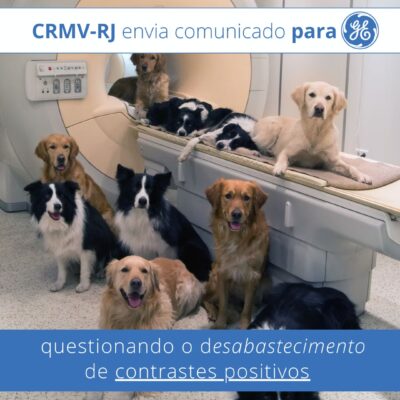 CRMV-RJ envia comunicado para GE questionando o desabastecimento de contrastes positivos para a realização de tomografia computadorizada e ressonância magnética em animais