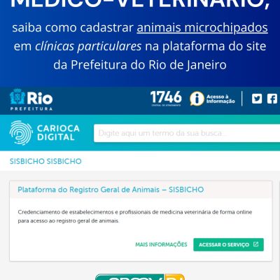 Médico-veterinário, saiba como cadastrar animais microchipados em clínicas particulares na plataforma do site da Prefeitura do Rio