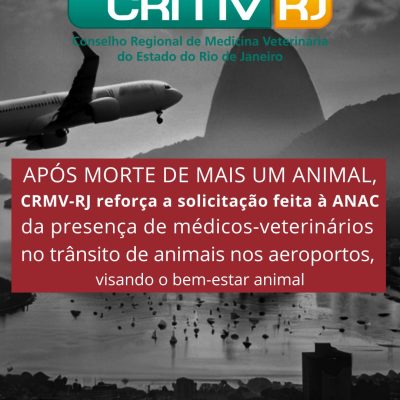 Após morte de mais um animal, CRMV-RJ reforça a solicitação feita à ANAC da presença de médicos-veterinários no trânsito de animais nos aeroportos, visando o bem-estar animal