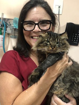 conselheiros_300x450_heloisa_justen